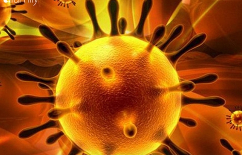 Danang Campus & HCM Campus: Classes rescheduling announcement, regarding Coronavirus situation